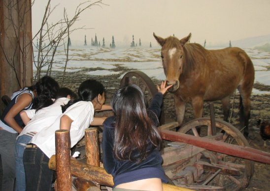 Museum 08.jpg